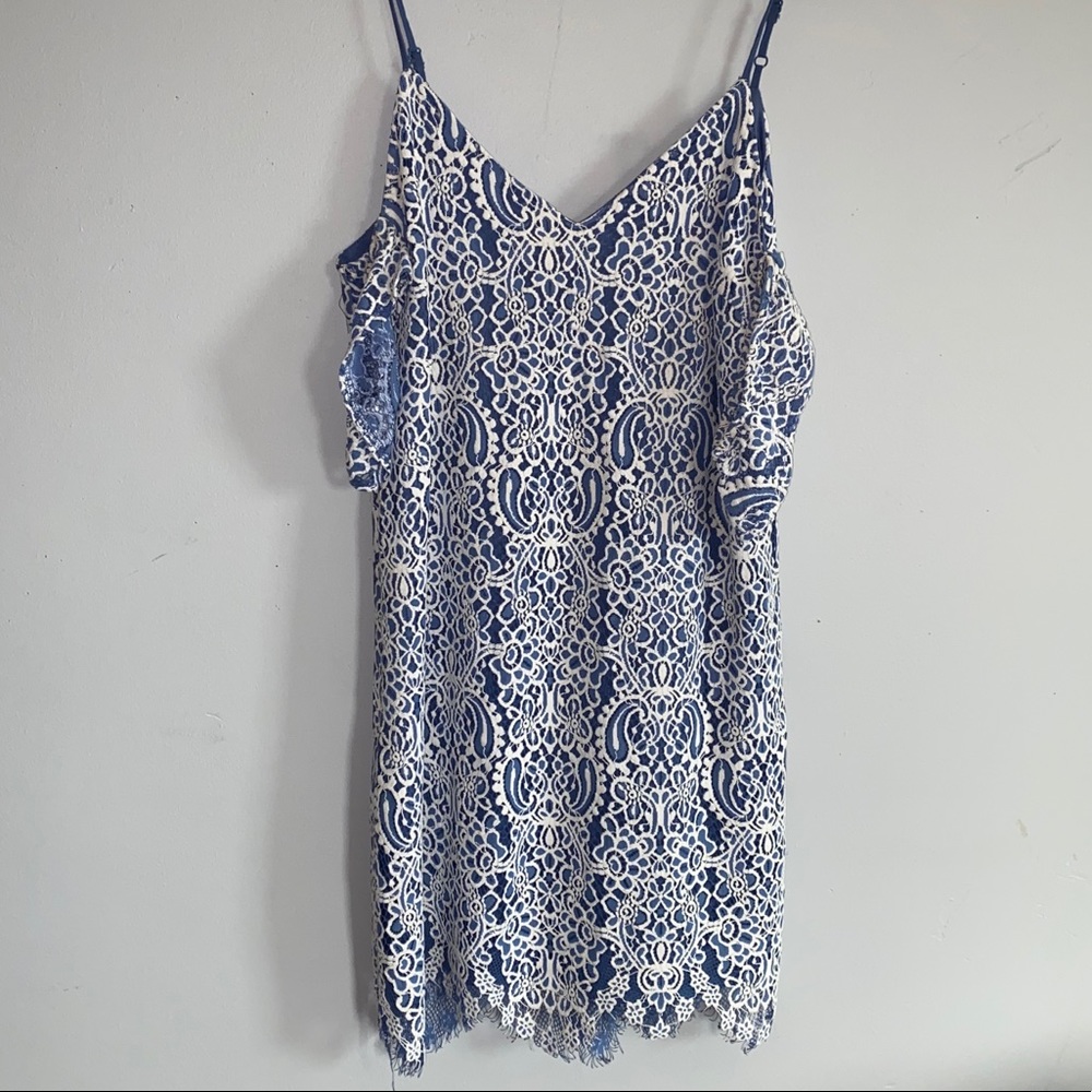 Delicate lace dress